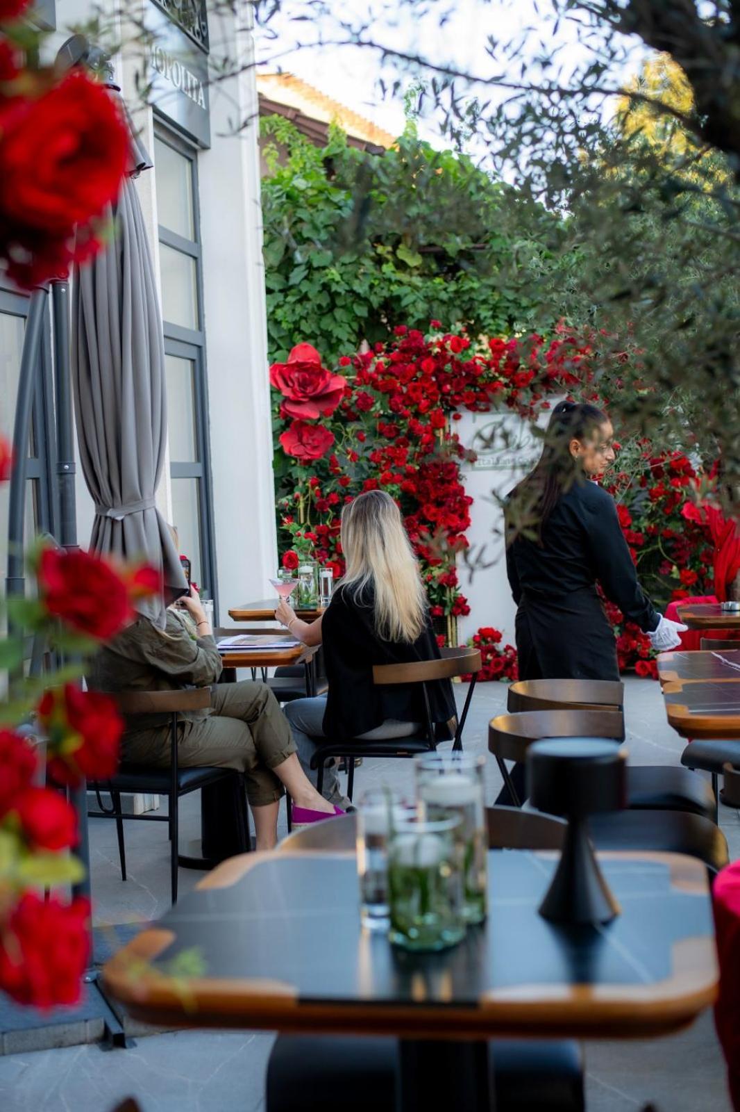 Cosmopolita Boutique Hotel Timisoara Exterior photo